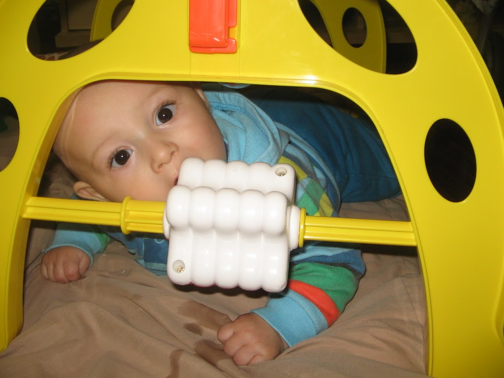 Baby Gym – O Brinquedo Certo Para O Desenvolvimento Do Bebê