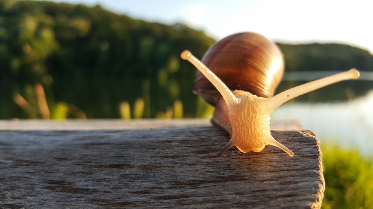 O Dia Que Parecia Que Não Tinha Fim – Dia 12