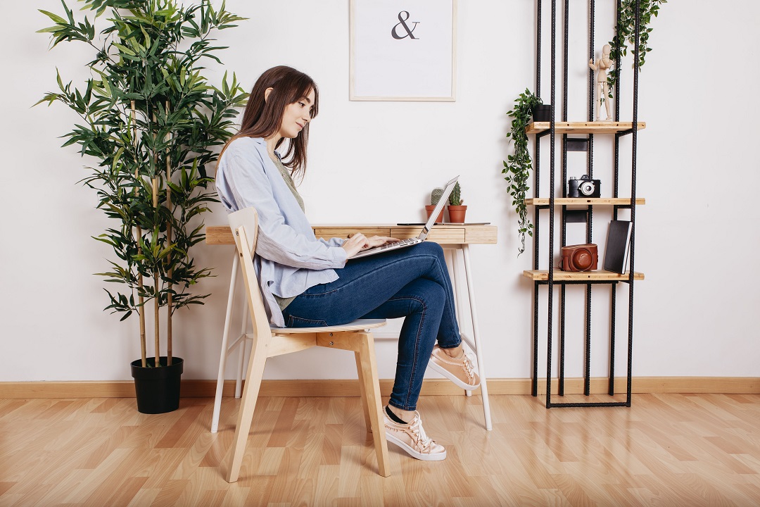 Natureza: Plantas Para Dentro De Casa
