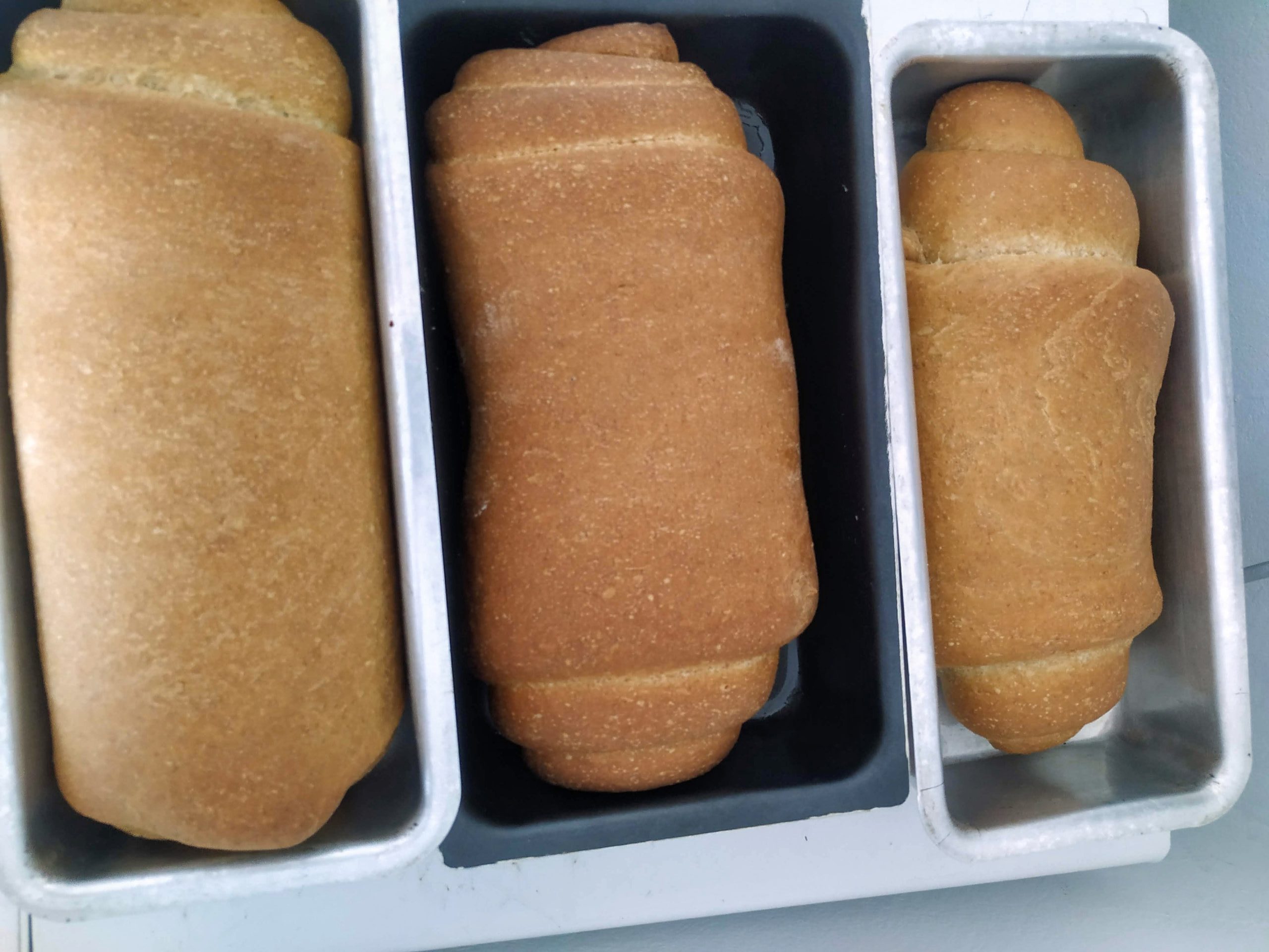 Pão Caseiro: O Mais Gostoso E Macio Que Você Vai Fazer!